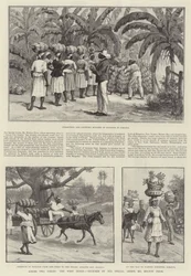 Over twee oceanen, de West-Indië
